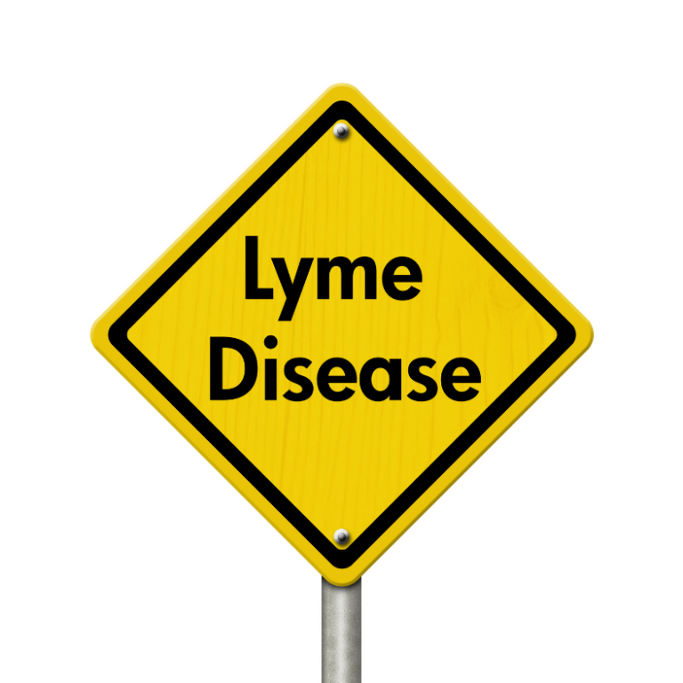 lyme disease in asheveille nc.