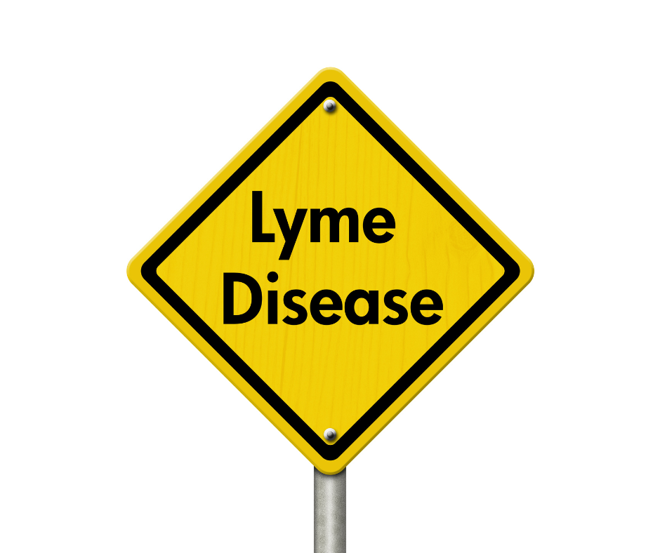 AH Website photos (3) lyme disease in asheveille nc.