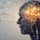 Semax Peptide for Brain Health, Recovery & Resiliency | Asheville, NC